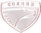 condor-logo